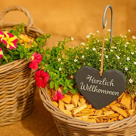 Seeoase In Muhr Am Inkl Frühstück Apartment