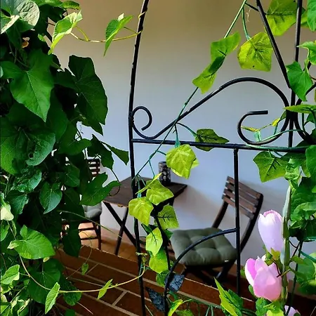 Apartment Seeoase In Muhr Am Inkl Fruehstueck